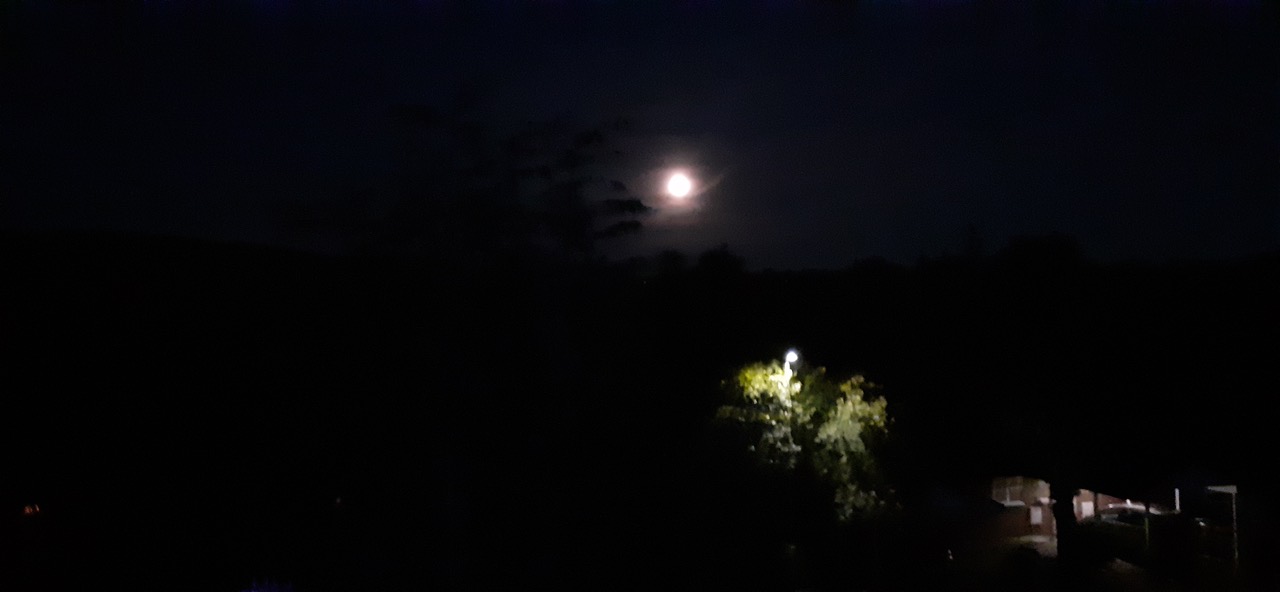 Fwd: Dalton Magna			
					</div><!-- .entry-content -->
		
		<footer>
		
		
		
					
					</footer><!-- .entry-meta -->
	</article><!-- #post -->
				
											
				
		
<hr class=