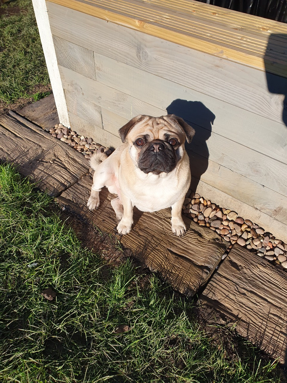 Fwd: Stanley in the Sun			
					</div><!-- .entry-content -->
		
		<footer>
		
		
		
					
					</footer><!-- .entry-meta -->
	</article><!-- #post -->
				
											
				
		
<hr class=