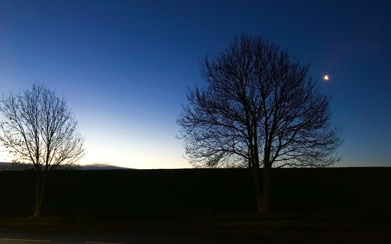 Fwd: Chris –  Clear cold & Frosty			
					</div><!-- .entry-content -->
		
		<footer>
		
		
		
					
					</footer><!-- .entry-meta -->
	</article><!-- #post -->
				
											
				
		
<hr class=