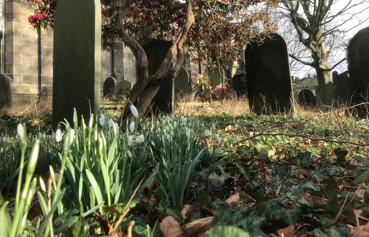 Fwd: Chris -Wadsley Church			
					</div><!-- .entry-content -->
		
		<footer>
		
		
		
					
					</footer><!-- .entry-meta -->
	</article><!-- #post -->
				
											
				
		
<hr class=