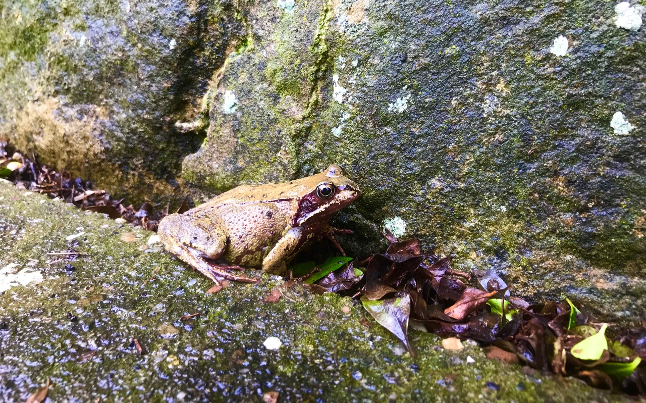 Fwd: Chris			
					</div><!-- .entry-content -->
		
		<footer>
		
		
		
					
					</footer><!-- .entry-meta -->
	</article><!-- #post -->
				
											
				
		
<hr class=