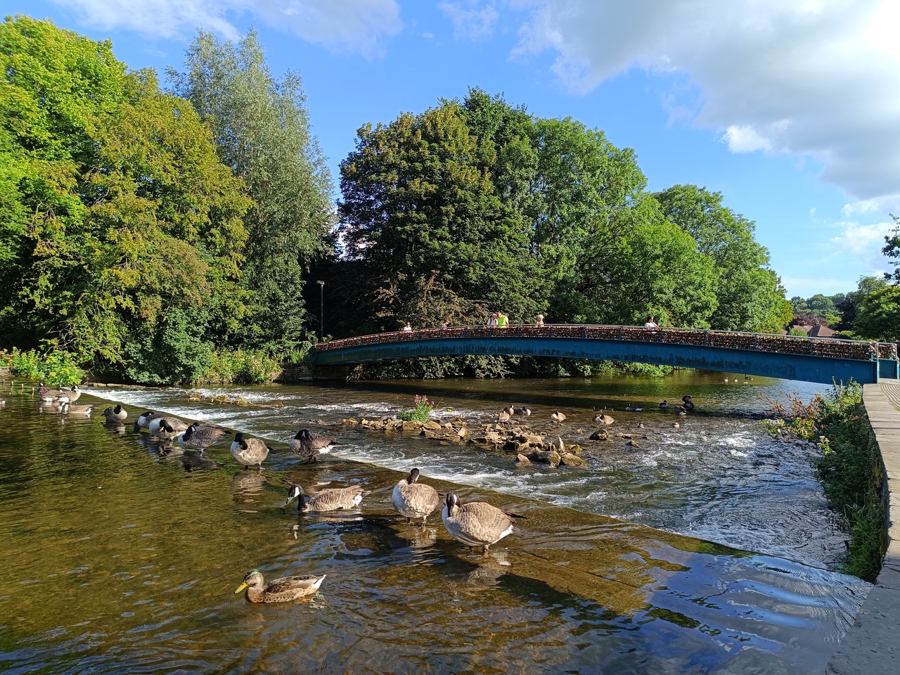 Fwd: Photos			
					</div><!-- .entry-content -->
		
		<footer>
		
		
		
					
					</footer><!-- .entry-meta -->
	</article><!-- #post -->
				
											
				
		
<hr class=