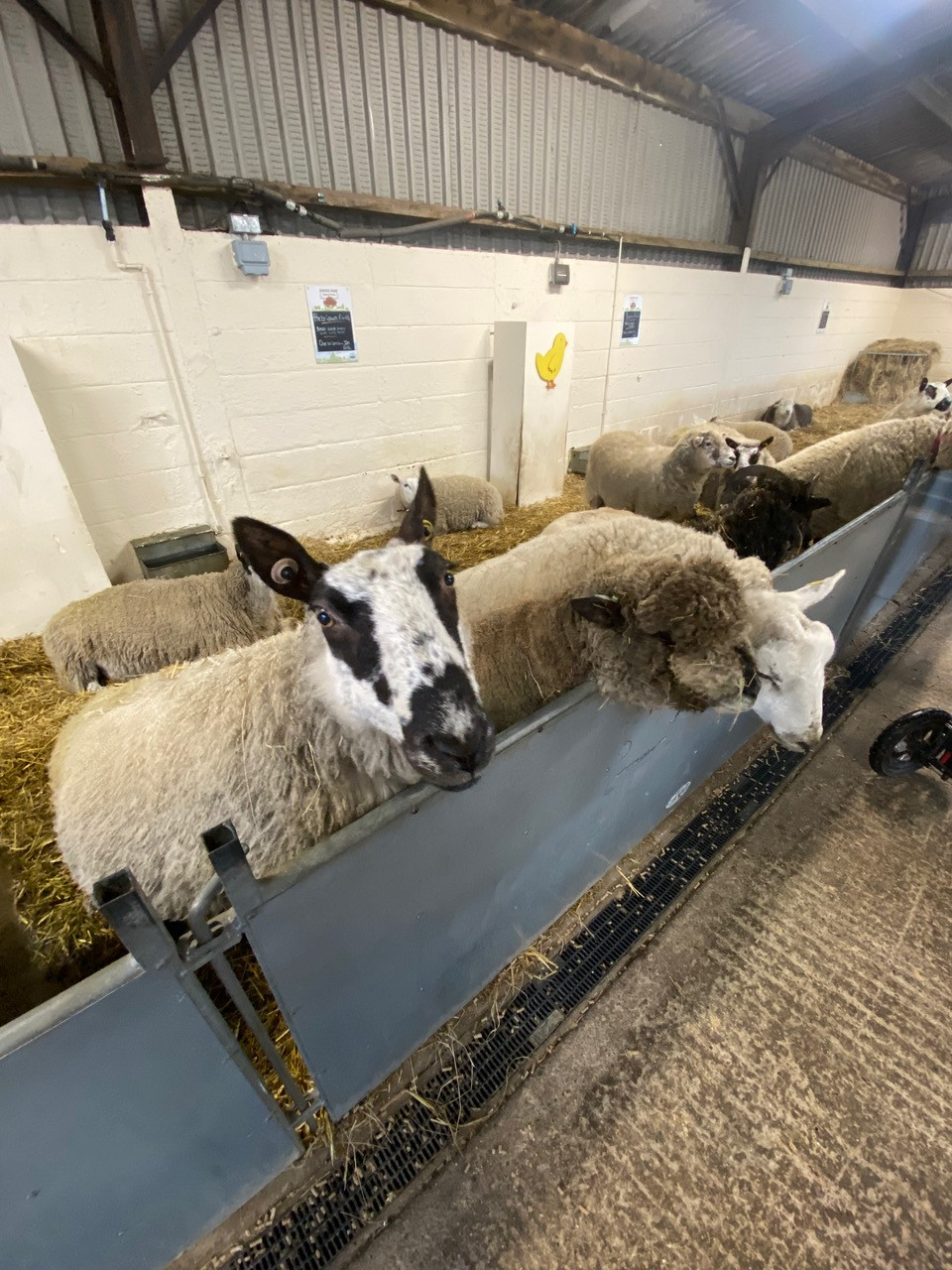 Fwd:			
					</div><!-- .entry-content -->
		
		<footer>
		
		
		
					
					</footer><!-- .entry-meta -->
	</article><!-- #post -->
				
											
				
		
<hr class=