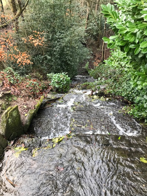 Fwd: Graves Park			
					</div><!-- .entry-content -->
		
		<footer>
		
		
		
					
					</footer><!-- .entry-meta -->
	</article><!-- #post -->
				
											
				
		
<hr class=