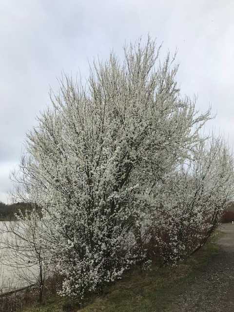 Fwd: Poolsbrook Country Park			
					</div><!-- .entry-content -->
		
		<footer>
		
		
		
					
					</footer><!-- .entry-meta -->
	</article><!-- #post -->
				
											
				
		
<hr class=