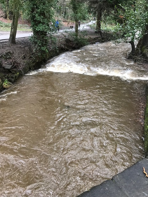 Fwd: Endcliffe Park			
					</div><!-- .entry-content -->
		
		<footer>
		
		
		
					
					</footer><!-- .entry-meta -->
	</article><!-- #post -->
				
											
				
		
<hr class=