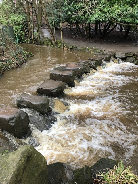 Fwd: Endcliffe Park			
					</div><!-- .entry-content -->
		
		<footer>
		
		
		
					
					</footer><!-- .entry-meta -->
	</article><!-- #post -->
				
											
				
		
<hr class=