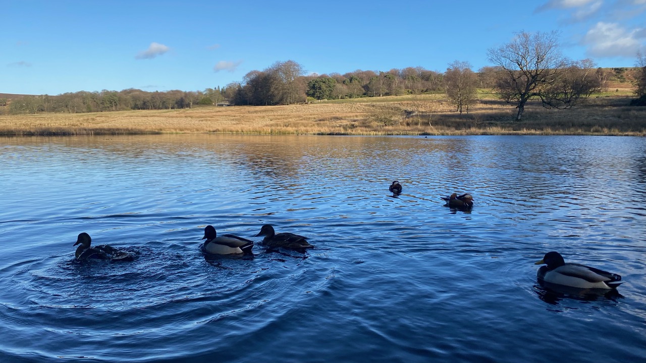 Fwd: Photos			
					</div><!-- .entry-content -->
		
		<footer>
		
		
		
					
					</footer><!-- .entry-meta -->
	</article><!-- #post -->
				
											
				
		
<hr class=