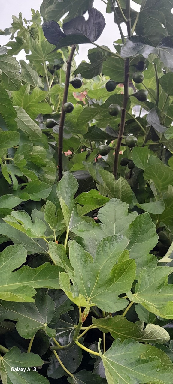 Fwd: From Norma Euter – Burngreave			
					</div><!-- .entry-content -->
		
		<footer>
		
		
		
					
					</footer><!-- .entry-meta -->
	</article><!-- #post -->
				
											
				
		
<hr class=