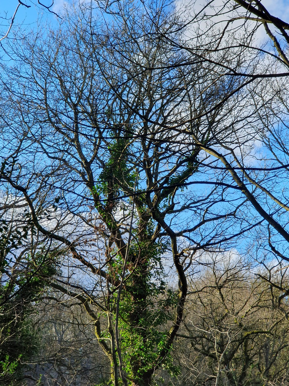 Fwd:			
					</div><!-- .entry-content -->
		
		<footer>
		
		
		
					
					</footer><!-- .entry-meta -->
	</article><!-- #post -->
				
											
				
		
<hr class=