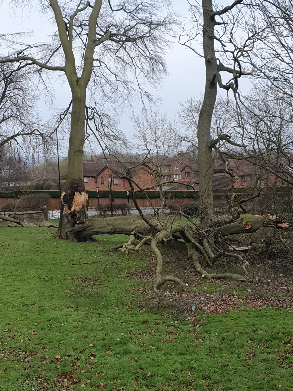 Fwd:			
					</div><!-- .entry-content -->
		
		<footer>
		
		
		
					
					</footer><!-- .entry-meta -->
	</article><!-- #post -->
				
											
				
		
<hr class=