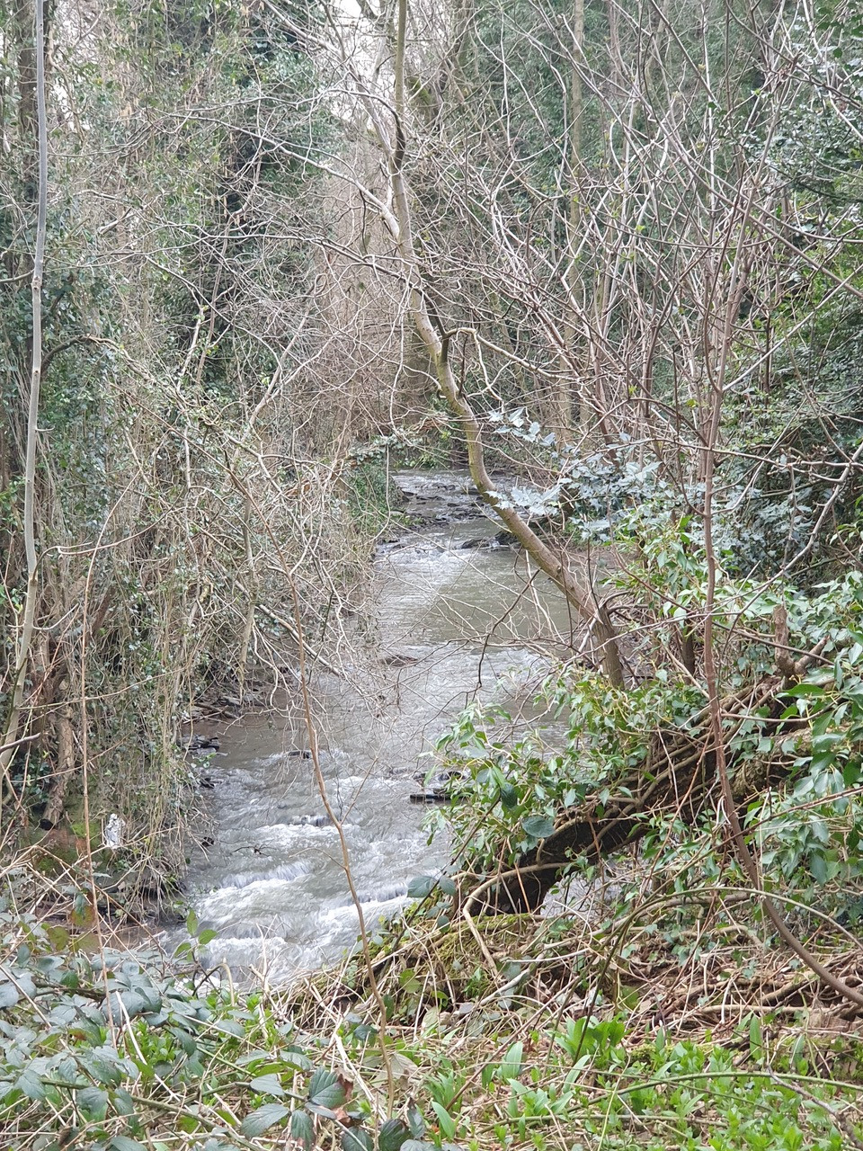 Fwd:			
					</div><!-- .entry-content -->
		
		<footer>
		
		
		
					
					</footer><!-- .entry-meta -->
	</article><!-- #post -->
				
											
				
		
<hr class=