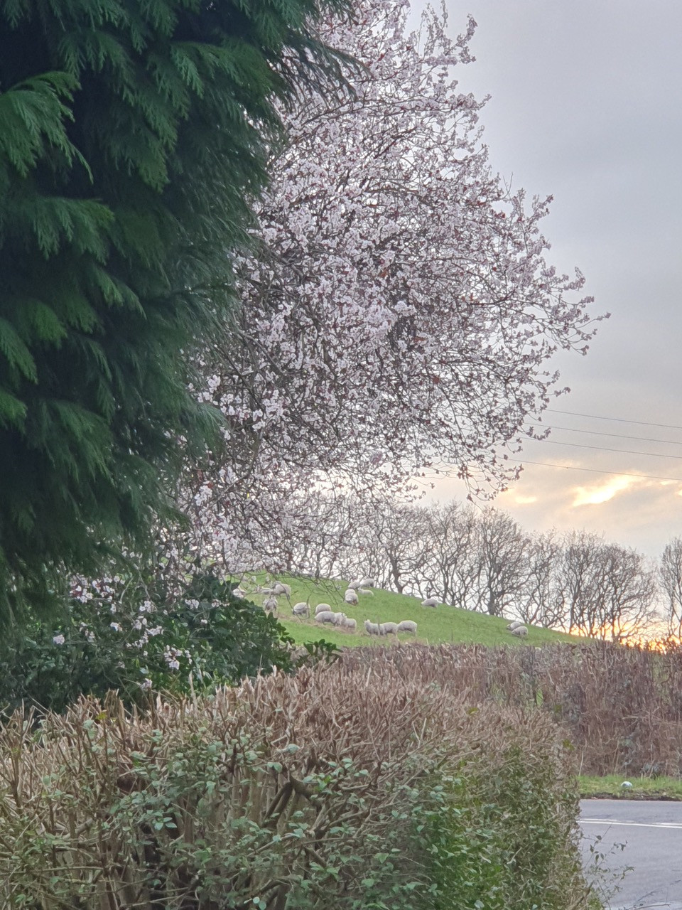 Fwd:			
					</div><!-- .entry-content -->
		
		<footer>
		
		
		
					
					</footer><!-- .entry-meta -->
	</article><!-- #post -->
				
											
				
		
<hr class=