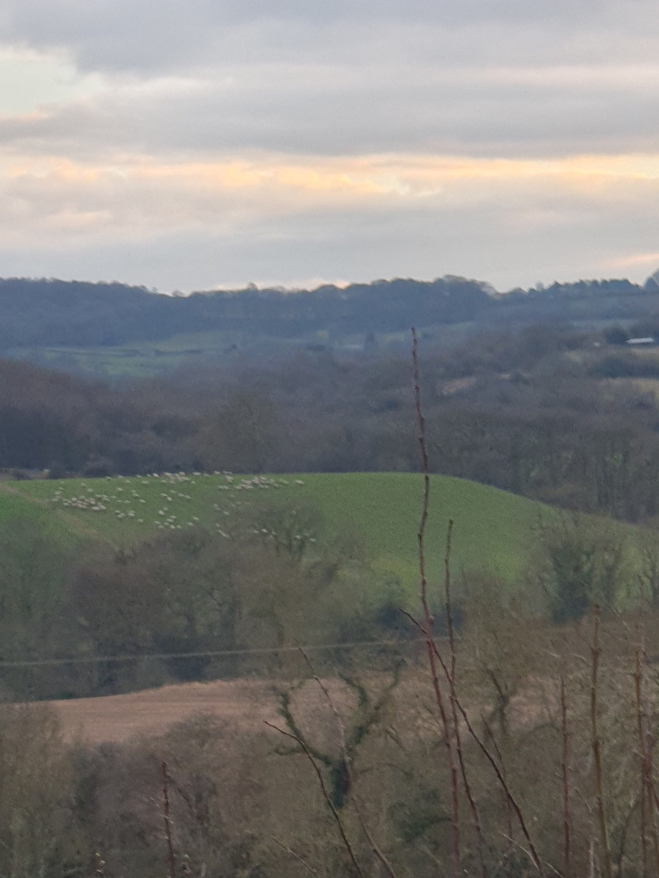 Fwd:			
					</div><!-- .entry-content -->
		
		<footer>
		
		
		
					
					</footer><!-- .entry-meta -->
	</article><!-- #post -->
				
											
				
		
<hr class=