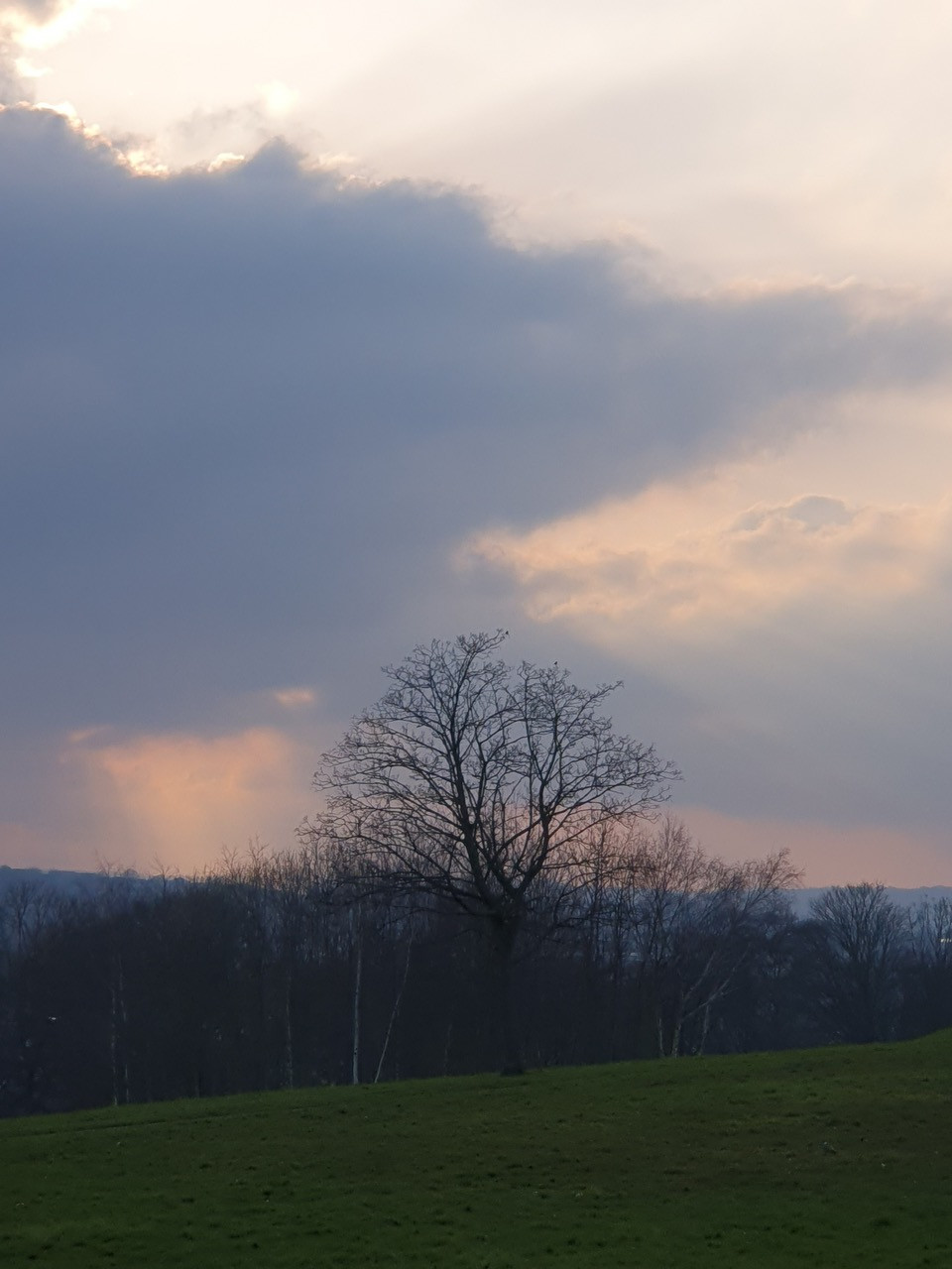 Fwd:			
					</div><!-- .entry-content -->
		
		<footer>
		
		
		
					
					</footer><!-- .entry-meta -->
	</article><!-- #post -->
				
											
				
		
<hr class=