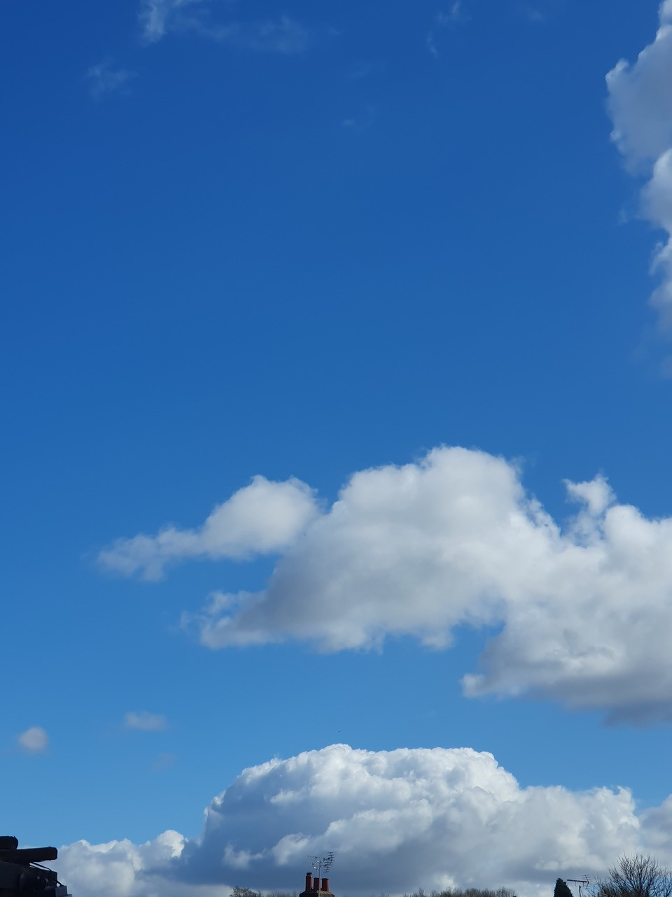 Fwd:			
					</div><!-- .entry-content -->
		
		<footer>
		
		
		
					
					</footer><!-- .entry-meta -->
	</article><!-- #post -->
				
											
				
		
<hr class=