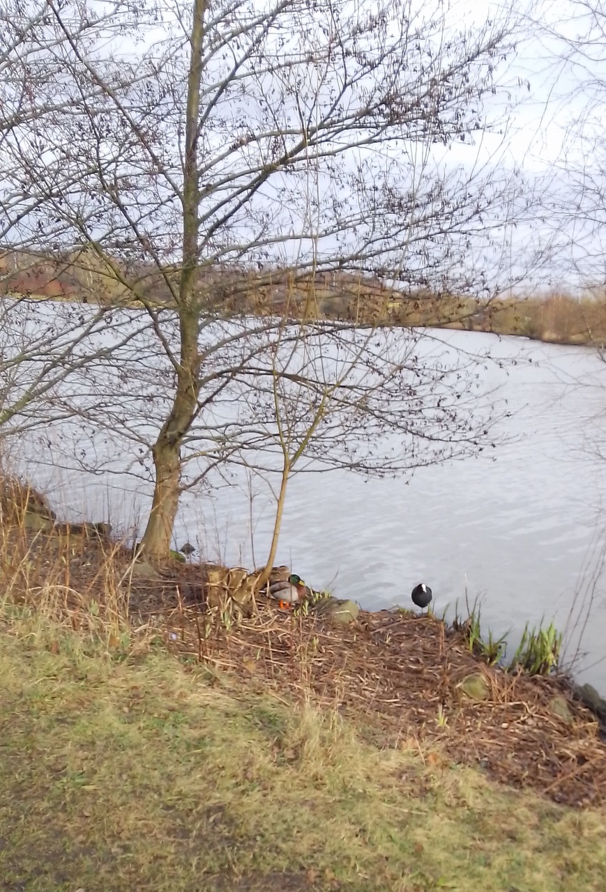 Fwd: Poolsbrook park			
					</div><!-- .entry-content -->
		
		<footer>
		
		
		
					
					</footer><!-- .entry-meta -->
	</article><!-- #post -->
				
											
				
		
<hr class=