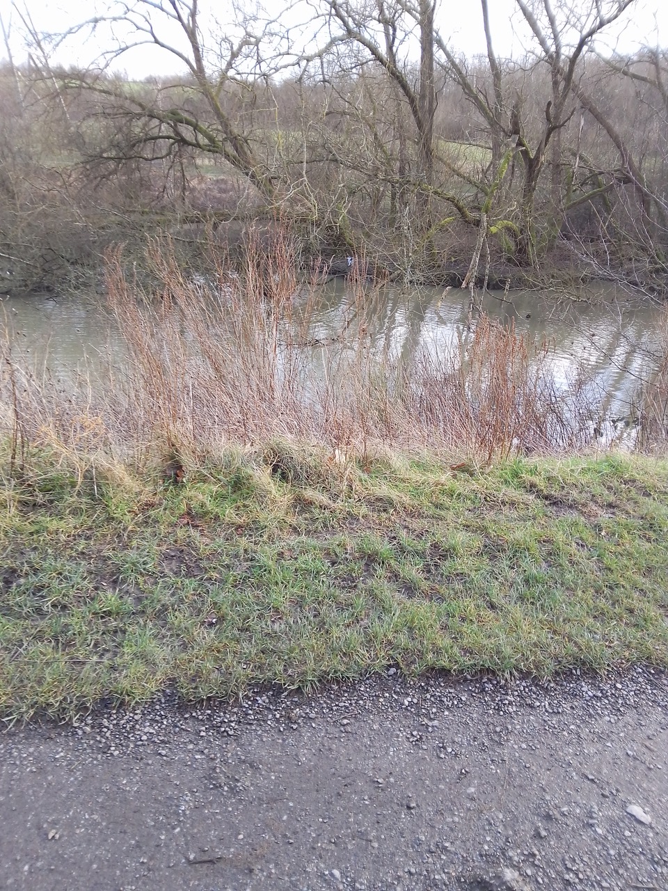 Fwd: Heron at Poolsbrook park			
					</div><!-- .entry-content -->
		
		<footer>
		
		
		
					
					</footer><!-- .entry-meta -->
	</article><!-- #post -->
				
											
				
		
<hr class=