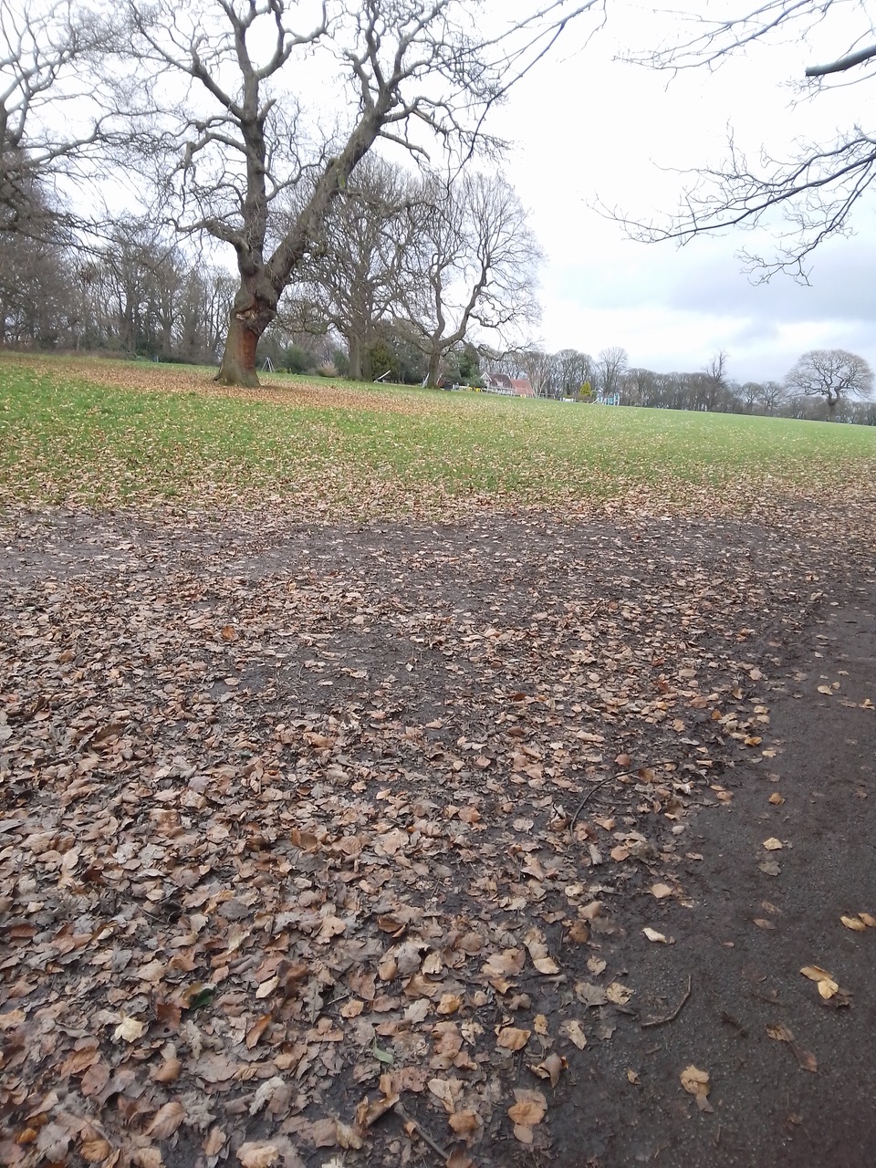 Fwd: Graves park			
					</div><!-- .entry-content -->
		
		<footer>
		
		
		
					
					</footer><!-- .entry-meta -->
	</article><!-- #post -->
				
											
				
		
<hr class=