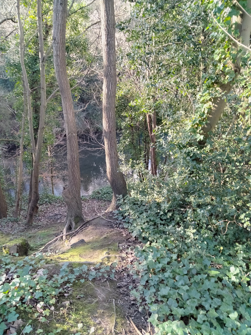 Fwd:			
					</div><!-- .entry-content -->
		
		<footer>
		
		
		
					
					</footer><!-- .entry-meta -->
	</article><!-- #post -->
				
											
				
		
<hr class=