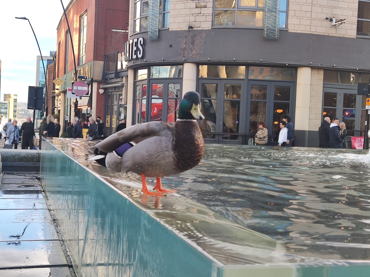 Fwd: Photo			
					</div><!-- .entry-content -->
		
		<footer>
		
		
		
					
					</footer><!-- .entry-meta -->
	</article><!-- #post -->
				
											
				
		
<hr class=