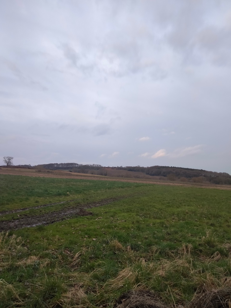 Fwd:			
					</div><!-- .entry-content -->
		
		<footer>
		
		
		
					
					</footer><!-- .entry-meta -->
	</article><!-- #post -->
				
											
				
		
<hr class=