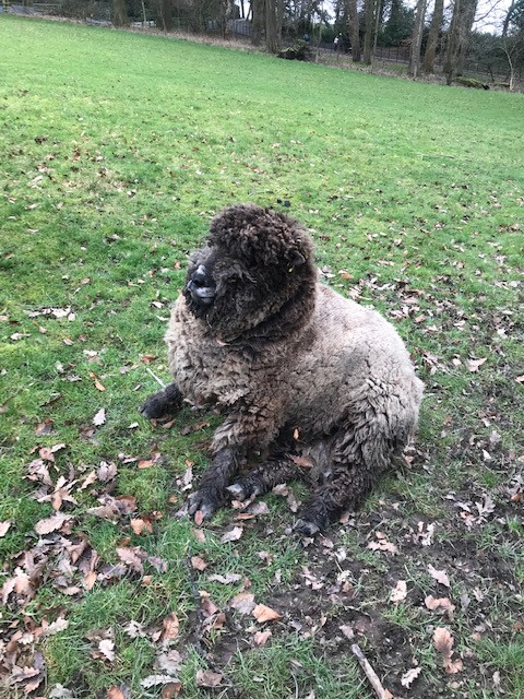 Fwd: Graves Park			
					</div><!-- .entry-content -->
		
		<footer>
		
		
		
					
					</footer><!-- .entry-meta -->
	</article><!-- #post -->
				
											
				
		
<hr class=