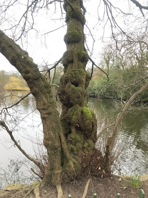 Fwd: Graves Park			
					</div><!-- .entry-content -->
		
		<footer>
		
		
		
					
					</footer><!-- .entry-meta -->
	</article><!-- #post -->
				
											
				
		
<hr class=