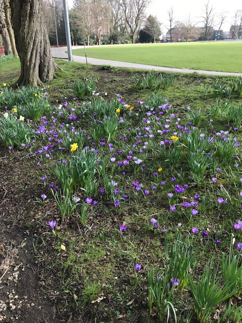 Fwd: Chesterfield Park			
					</div><!-- .entry-content -->
		
		<footer>
		
		
		
					
					</footer><!-- .entry-meta -->
	</article><!-- #post -->
				
											
				
		
<hr class=