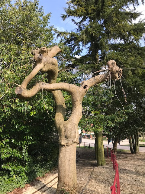 Fwd: Chesterfield Park			
					</div><!-- .entry-content -->
		
		<footer>
		
		
		
					
					</footer><!-- .entry-meta -->
	</article><!-- #post -->
				
											
				
		
<hr class=