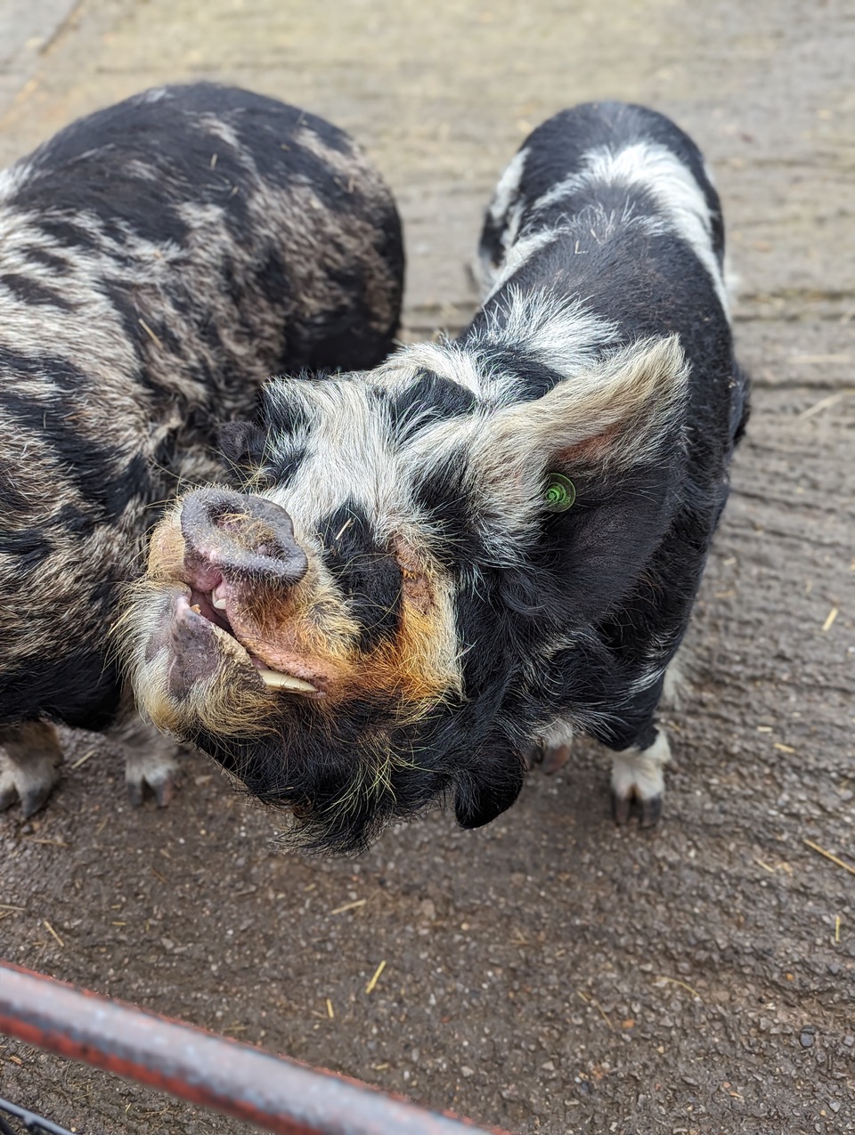 Fwd: Sunday sounds			
					</div><!-- .entry-content -->
		
		<footer>
		
		
		
					
					</footer><!-- .entry-meta -->
	</article><!-- #post -->
				
											
				
		
<hr class=