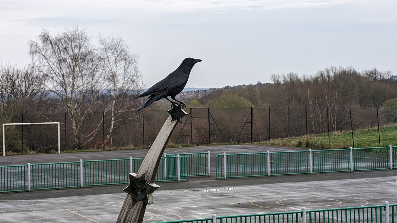 Fwd: Greg Howarth Richmond Park			
					</div><!-- .entry-content -->
		
		<footer>
		
		
		
					
					</footer><!-- .entry-meta -->
	</article><!-- #post -->
				
											
				
		
<hr class=