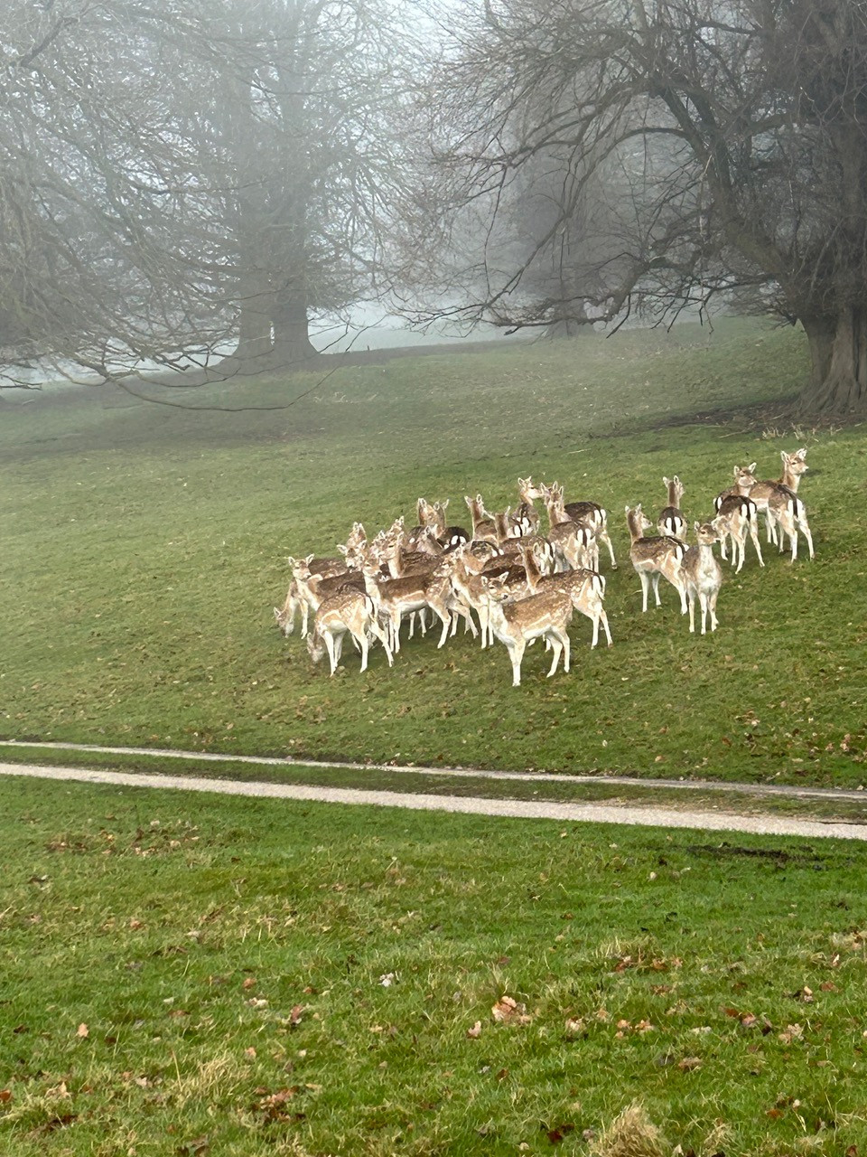 Fwd: Re Diane wearing chatsworth			
					</div><!-- .entry-content -->
		
		<footer>
		
		
		
					
					</footer><!-- .entry-meta -->
	</article><!-- #post -->
				
											
				
		
<hr class=