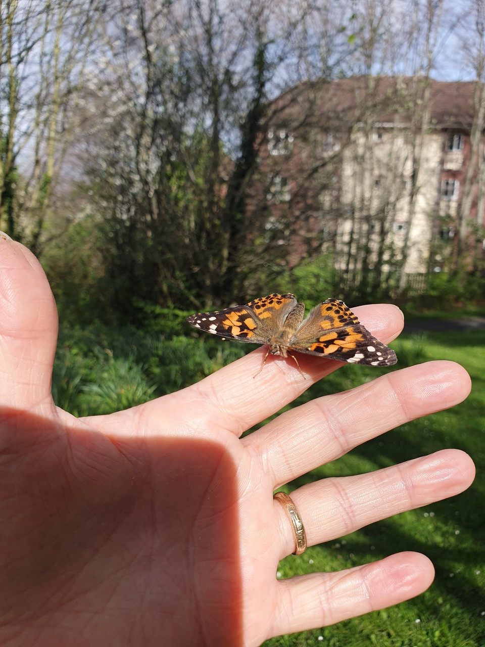 Fwd:			
					</div><!-- .entry-content -->
		
		<footer>
		
		
		
					
					</footer><!-- .entry-meta -->
	</article><!-- #post -->
				
											
				
		
<hr class=