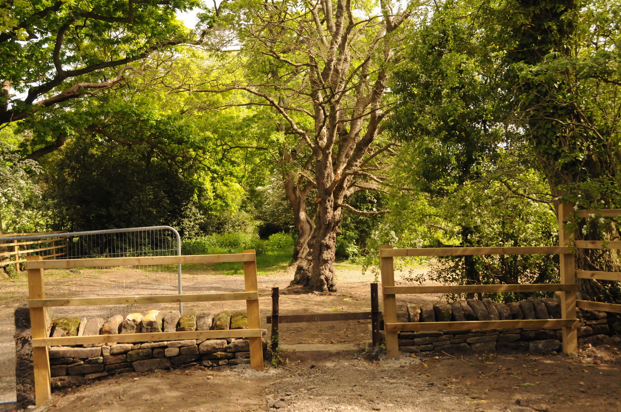 Fwd: Near Grenoside by Roland Geordie			
					</div><!-- .entry-content -->
		
		<footer>
		
		
		
					
					</footer><!-- .entry-meta -->
	</article><!-- #post -->
				
											
				
		
<hr class=