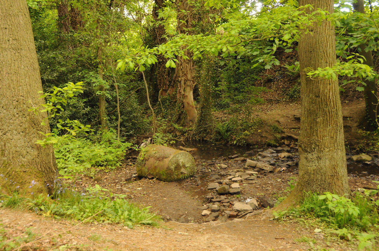 Fwd: Below Whitley Cricket Club by Roland Geordie			
					</div><!-- .entry-content -->
		
		<footer>
		
		
		
					
					</footer><!-- .entry-meta -->
	</article><!-- #post -->
				
											
				
		
<hr class=