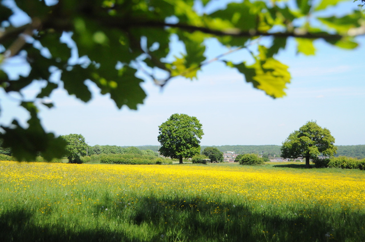 Fwd: Near Grenoside by Roland Geordie			
					</div><!-- .entry-content -->
		
		<footer>
		
		
		
					
					</footer><!-- .entry-meta -->
	</article><!-- #post -->
				
											
				
		
<hr class=