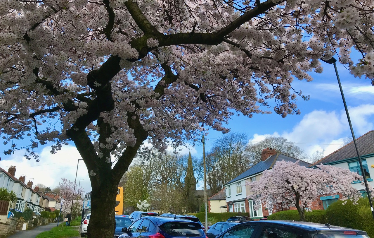 Fwd: Chris – Wadsley			
					</div><!-- .entry-content -->
		
		<footer>
		
		
		
					
					</footer><!-- .entry-meta -->
	</article><!-- #post -->
				
											
				
		
<hr class=