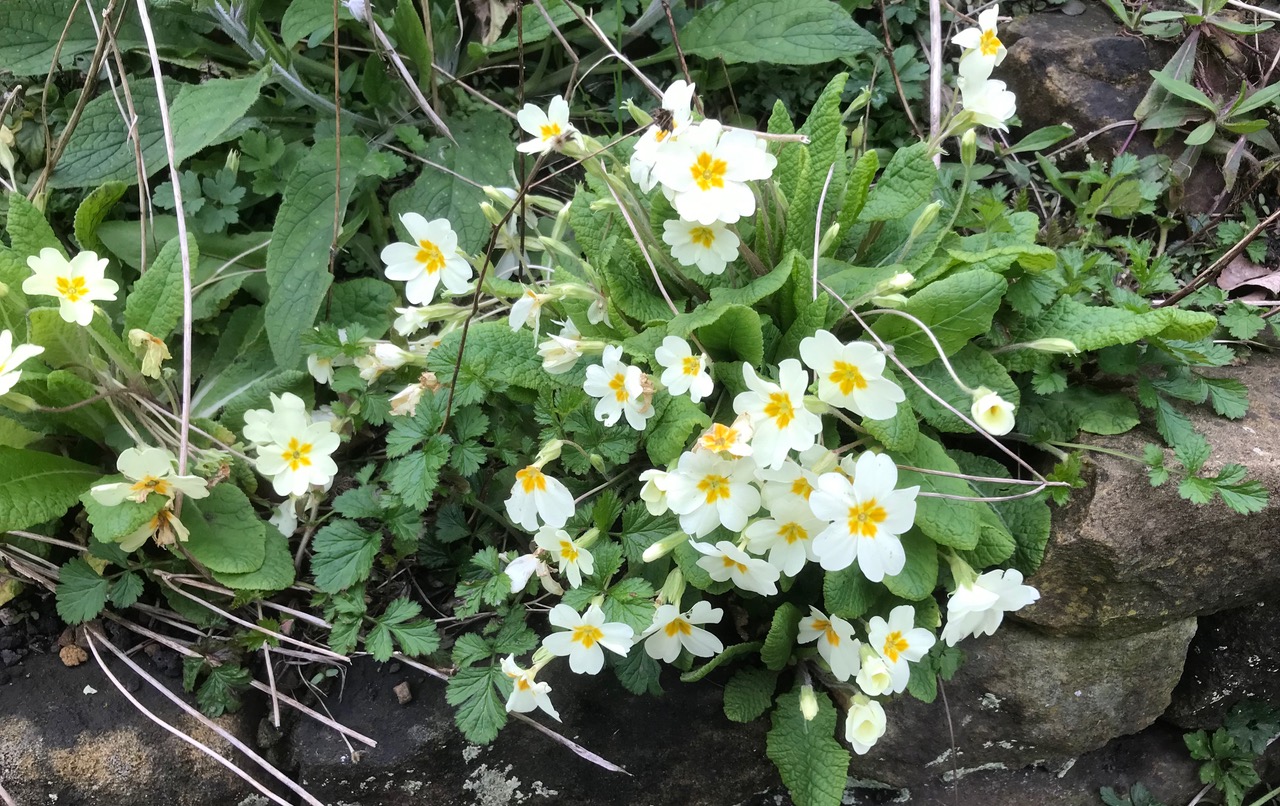 Fwd: Chris			
					</div><!-- .entry-content -->
		
		<footer>
		
		
		
					
					</footer><!-- .entry-meta -->
	</article><!-- #post -->
				
											
				
		
<hr class=