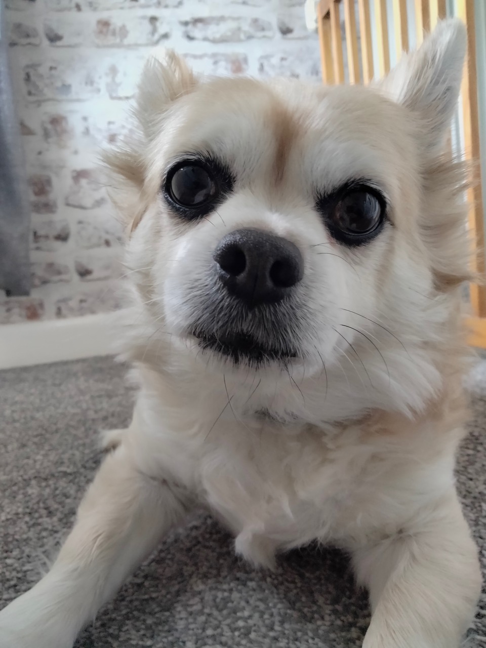 Fwd:			
					</div><!-- .entry-content -->
		
		<footer>
		
		
		
					
					</footer><!-- .entry-meta -->
	</article><!-- #post -->
				
											
				
		
<hr class=