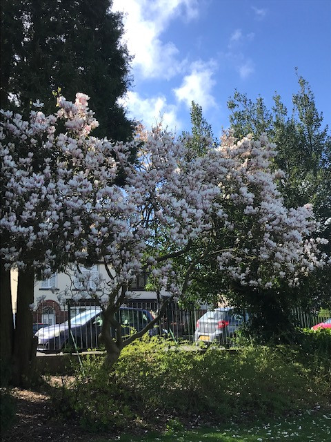 Fwd: Graves Park			
					</div><!-- .entry-content -->
		
		<footer>
		
		
		
					
					</footer><!-- .entry-meta -->
	</article><!-- #post -->
				
											
				
		
<hr class=