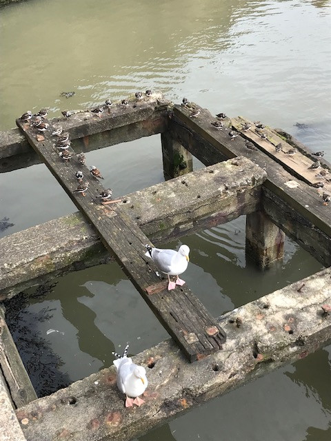 Fwd: Bridlington harbour			
					</div><!-- .entry-content -->
		
		<footer>
		
		
		
					
					</footer><!-- .entry-meta -->
	</article><!-- #post -->
				
											
				
		
<hr class=