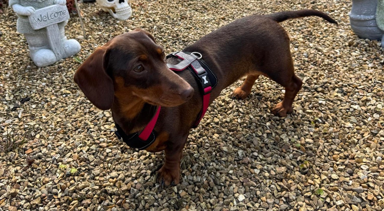 Fwd: Photograph by K Johnson.Peach			
					</div><!-- .entry-content -->
		
		<footer>
		
		
		
					
					</footer><!-- .entry-meta -->
	</article><!-- #post -->
				
											
				
		
<hr class=