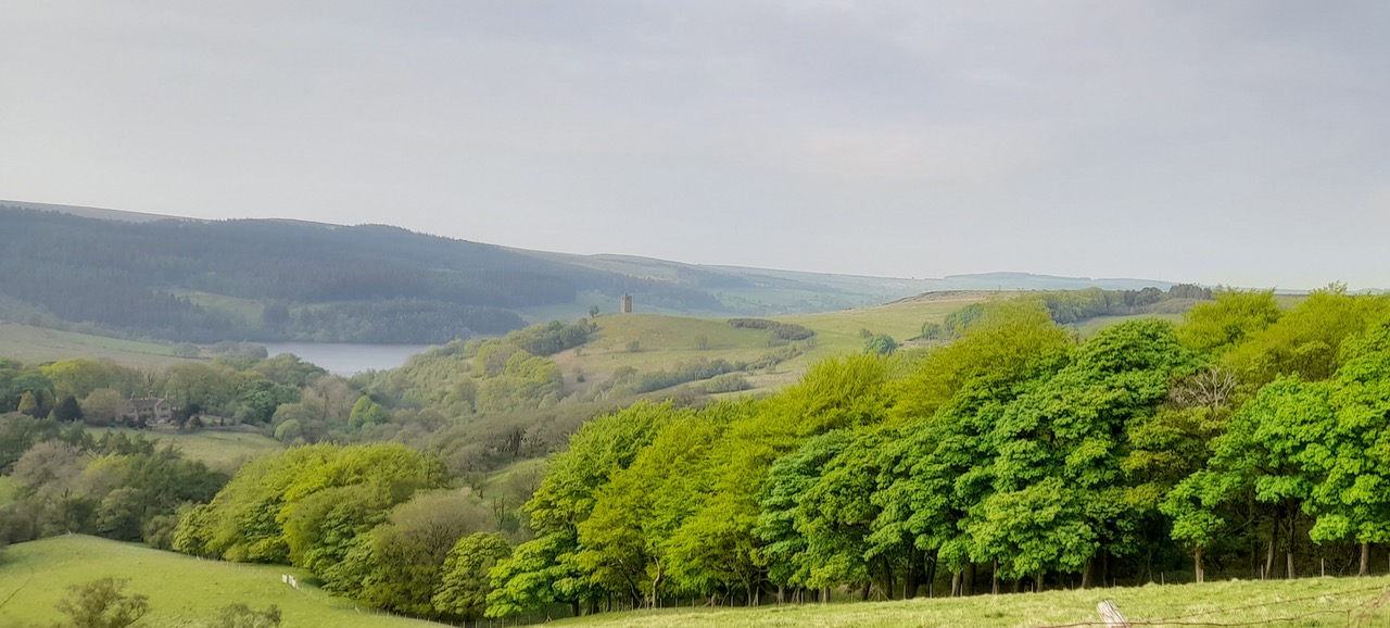 Fwd: Gail Ellis, View towards Strines			
					</div><!-- .entry-content -->
		
		<footer>
		
		
		
					
					</footer><!-- .entry-meta -->
	</article><!-- #post -->
				
											
				
		
<hr class=