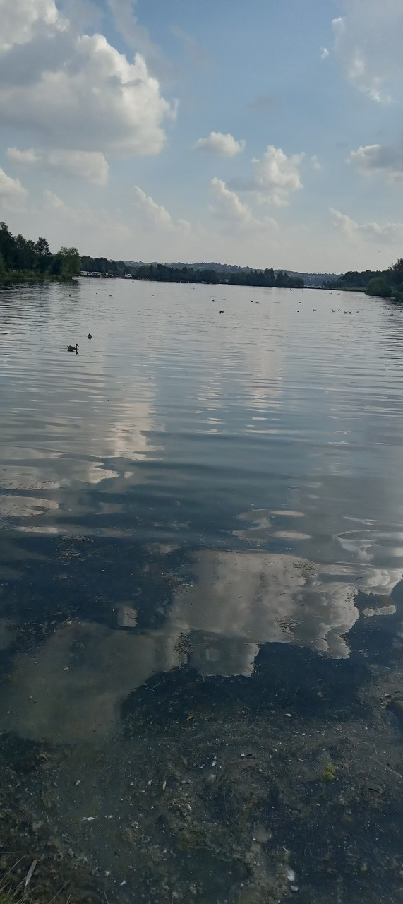 Fwd: Rother valley by Phil Midgley			
					</div><!-- .entry-content -->
		
		<footer>
		
		
		
					
					</footer><!-- .entry-meta -->
	</article><!-- #post -->
				
											
				
		
<hr class=