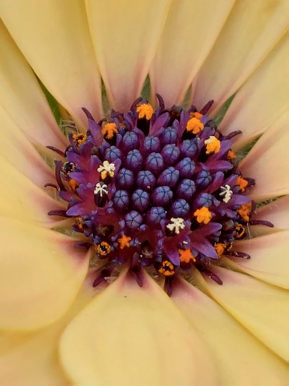 Fwd: Flower			
					</div><!-- .entry-content -->
		
		<footer>
		
		
		
					
					</footer><!-- .entry-meta -->
	</article><!-- #post -->
				
											
				
		
<hr class=