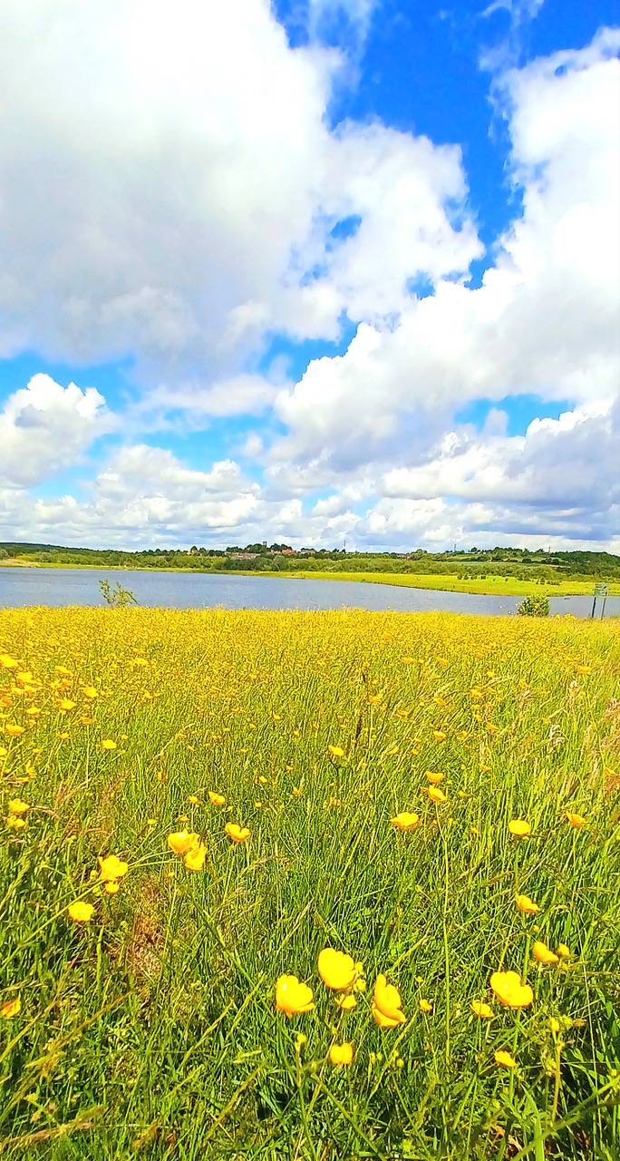 Fwd: By Markius Maximus- Waverley Nature Reserve.			
					</div><!-- .entry-content -->
		
		<footer>
		
		
		
					
					</footer><!-- .entry-meta -->
	</article><!-- #post -->
				
											
				
		
<hr class=