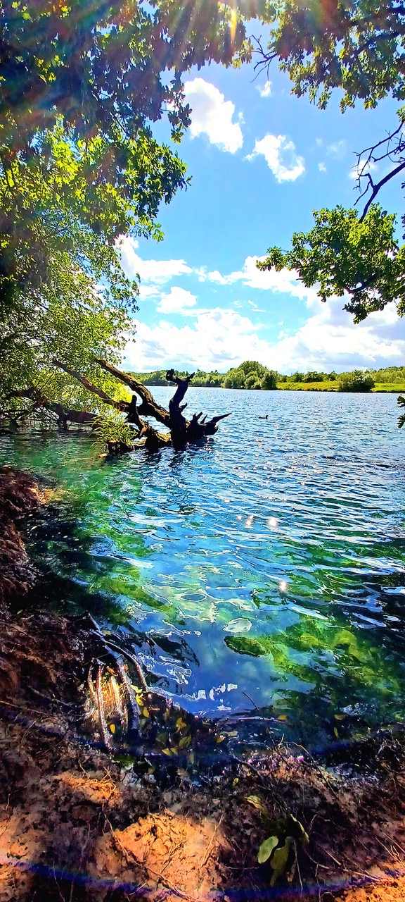 Fwd: By Markius Maximus- Treeton Dyke			
					</div><!-- .entry-content -->
		
		<footer>
		
		
		
					
					</footer><!-- .entry-meta -->
	</article><!-- #post -->
				
											
				
		
<hr class=