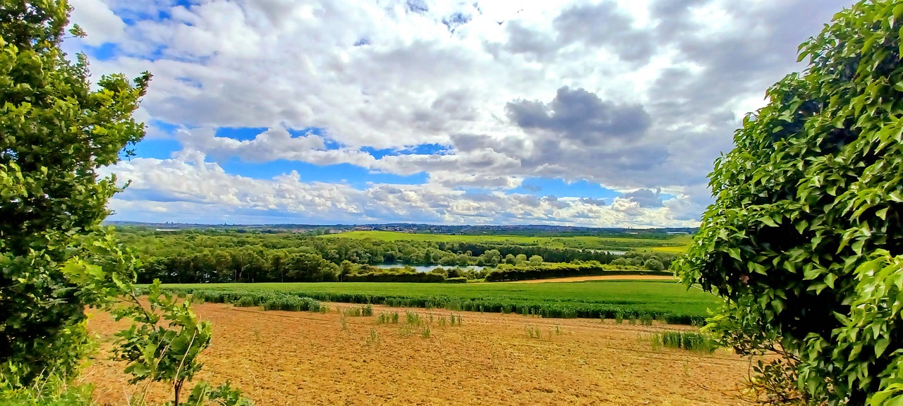 Fwd: By Markius Maximus- Treeton Dyke			
					</div><!-- .entry-content -->
		
		<footer>
		
		
		
					
					</footer><!-- .entry-meta -->
	</article><!-- #post -->
				
											
				
		
<hr class=