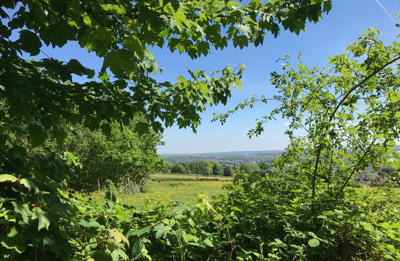 Fwd: Chris -Wadsley Common			
					</div><!-- .entry-content -->
		
		<footer>
		
		
		
					
					</footer><!-- .entry-meta -->
	</article><!-- #post -->
				
											
				
		
<hr class=